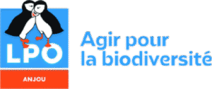 logo-lpo